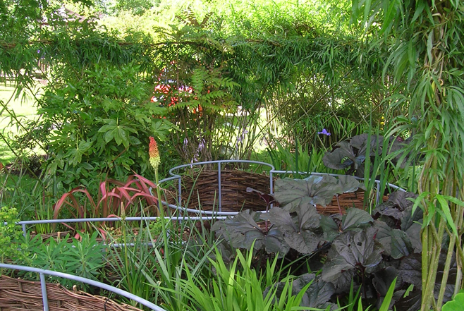 Show Garden – Ivy Maud Design Garden